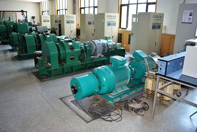 椰林镇某热电厂使用我厂的YKK高压电机提供动力